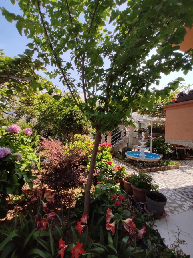 Apartments Baja Ulcinj Exteriér fotografie